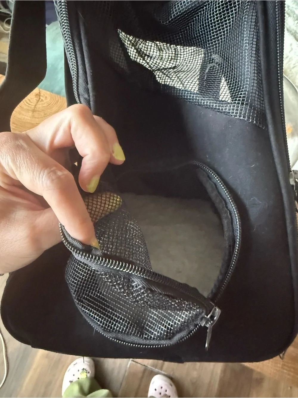 Bubble Window Pet Carrier Backpack in Black for small/medium kittens/cats new